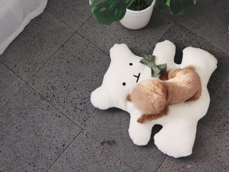 PSG_WHITEBEAR_03